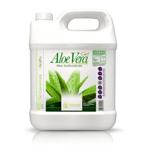 Gel Concentrado de Aloe Vera